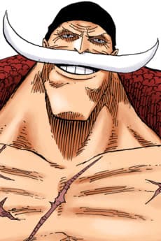 Whitebeard